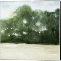 Framed 'Loose Landscape II' border=