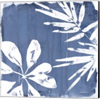 Framed Tropical Indigo Impressions III