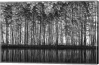 Framed Pointillism Nature
