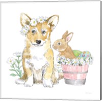 Framed Easter Pups I