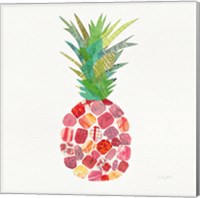 Framed 'Tropical Fun Pineapple I' border=