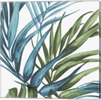 Framed 'Palm Leaves II' border=