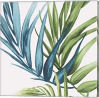 Framed 'Palm Leaves IV' border=