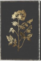 Framed Botanical Gold on Black II