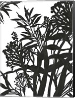 Framed Monochrome Foliage II