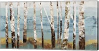 Framed Birch Reflection