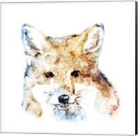 Framed Watercolour Fox