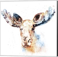 Framed Watercolour Moose