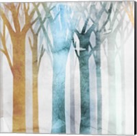 Framed 'Dancing Trees III' border=
