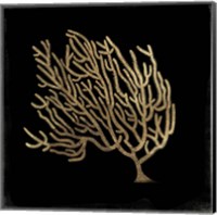 Framed 'Gold Coral II' border=