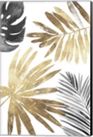 Framed Tropical Palms III