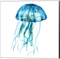 Framed Jellyfish