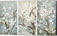 Framed Triptych in Bloom