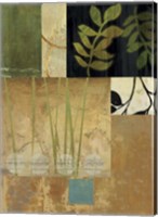 Framed Leaves of Green II