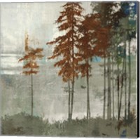 Framed Spruce Woods II