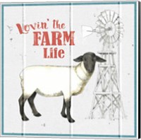 Framed 'Farm To Table VII' border=