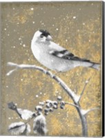 Framed Winter Birds Goldfinch Neutral