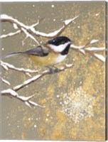 Framed Winter Birds Chickadee Color