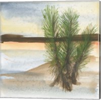 Framed 'Desert Yucca' border=