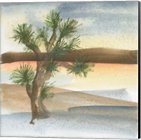 Framed Desert Joshua Tree
