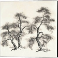 Framed Sumi Tree III