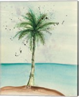 Framed African Oil Palm II