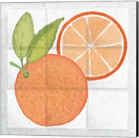 Framed 'Citrus Tile V' border=