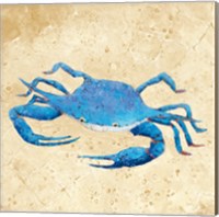 Framed Blue Crab V Neutral Crop