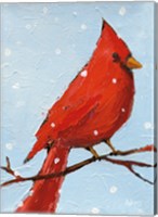 Framed Cardinal I