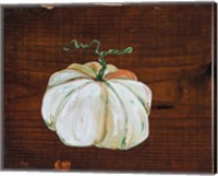 Framed White Pumpkin