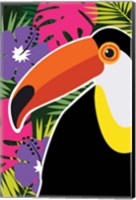 Framed Tropical Toucan