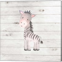 Framed 'Watercolor Zebra' border=