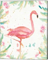 Framed Flamingo Fever XII