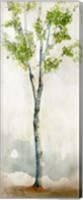 Framed Watercolor Birch Trees I