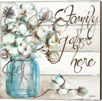 Framed 'Cotton Boll Mason Jar I Family' border=