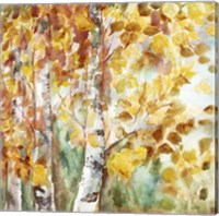 Framed Watercolor Fall Aspens Square