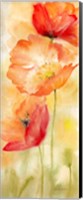 Framed Watercolor Poppy  Meadow Spice Panel II