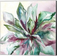 Framed 'Succulent Watercolor II' border=
