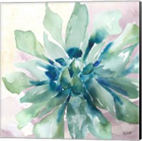 Framed 'Succulent Watercolor III' border=