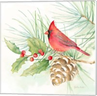 Framed Winter Birds IV Cardinal