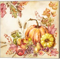 Framed 'Watercolor Harvest Pumpkins II' border=