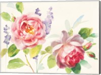 Framed Watercolor Roses