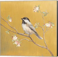 Framed Black Capped Chickadee on Gold