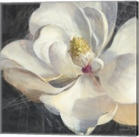 Framed Vivid Floral IV Crop