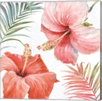 Framed Tropical Blush III