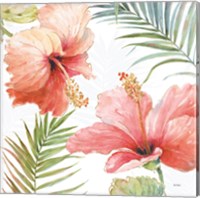 Framed 'Tropical Blush II' border=