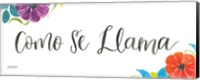 Framed La La Llama VI