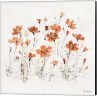 Framed Wildflowers III Orange