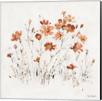 Framed 'Wildflowers II Orange' border=