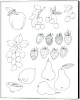 Framed Line Art Fruits